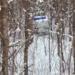 Bird feeder on the trail