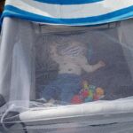 Bug free Zone for the kids