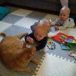 Isaac loves animals...luckily this cat at playgroup was friendly too.