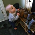 curious little monkey