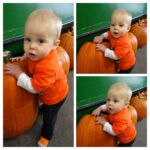 Isaac helped pick out our pumpkins