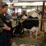 And on that farm there was a cow...mooo