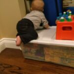 climbing everything!