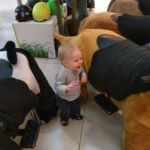 Isaac found the ride-on animals at Bayshore