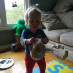 Isaac's first pony tail!