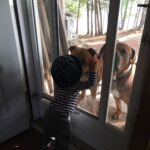 They're not so big when there's a door between us!