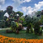 Garden people! Such cool plants...