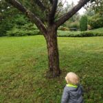 Isaac followed squirrels around in the rain for the afternoon