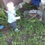 who's in the there? Papa's groundhog cage