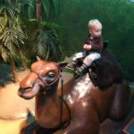 riding a camel at the Children's museum