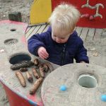 cooking the pinecones