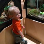 bug exhibit