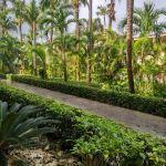 view from our balcony