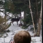 Special visitor at Opa and Oma's