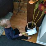 Still always likes to help with the cleaning