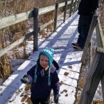 Waiting for birds to land