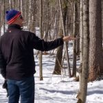 Feeding the chicadees