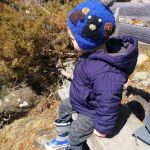 First visit to the cottage this year