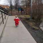 chasing a bunny rabbit