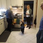 Isaac found the animals at Grandma's and Papa's