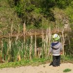 watching the Canada geese go by