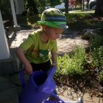 cleaning the patio stones