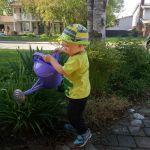 watering the flowers