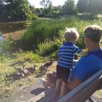 Visiting the geese at Centrepointe park