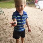 The frogs are back on the beach!