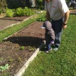 Isaac helping to weed the garden