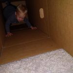 cardboard boxes are so much fun
