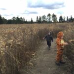 corn maze with cousin Hank