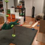 building the jungle gym