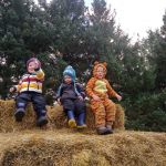the boys at Saunders farm