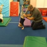 parent day at gynastics