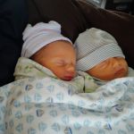 snug as a bug in a rug