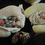 keeping each other company