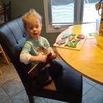 Book and puzzle from cottage neighbours