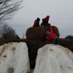 Climbing the haystacks at the sugar bush