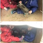 screaming in a box outside, good fun