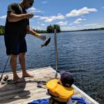 daddy caught a fish!