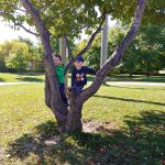 in the tree with Arlo
