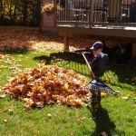 raking Opa's lawn