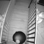 chatting or chewing??