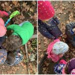 finding bugs in the leaves