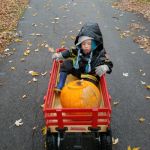 going to smash pumpkins!!