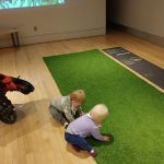 grass they can't eat!