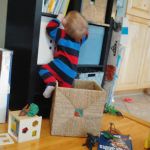 Asher trying to climb up the shelf