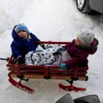 a trip to the park in the wagon