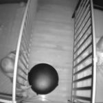 Cadence knocking the Google home off the stool